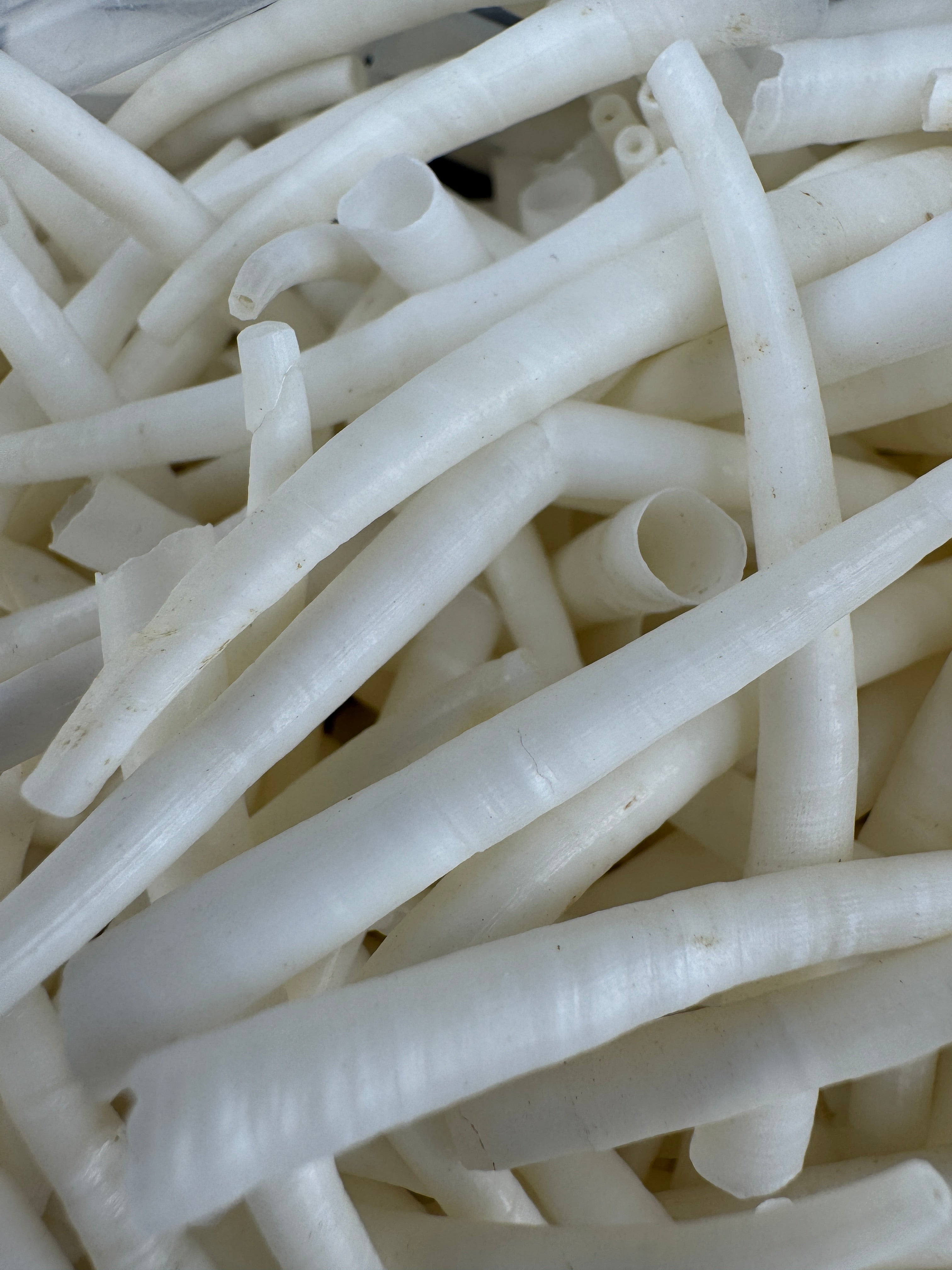 Assorted Dentillium Shells – Natural Tube Shells for Jewelry, Regalia, and Beadwork