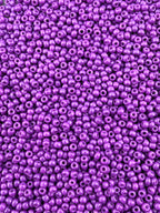 Mino Seed Beads 11/0 Grape Purple