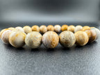 Fossilized Coral Beads Available in 8mm Sizes