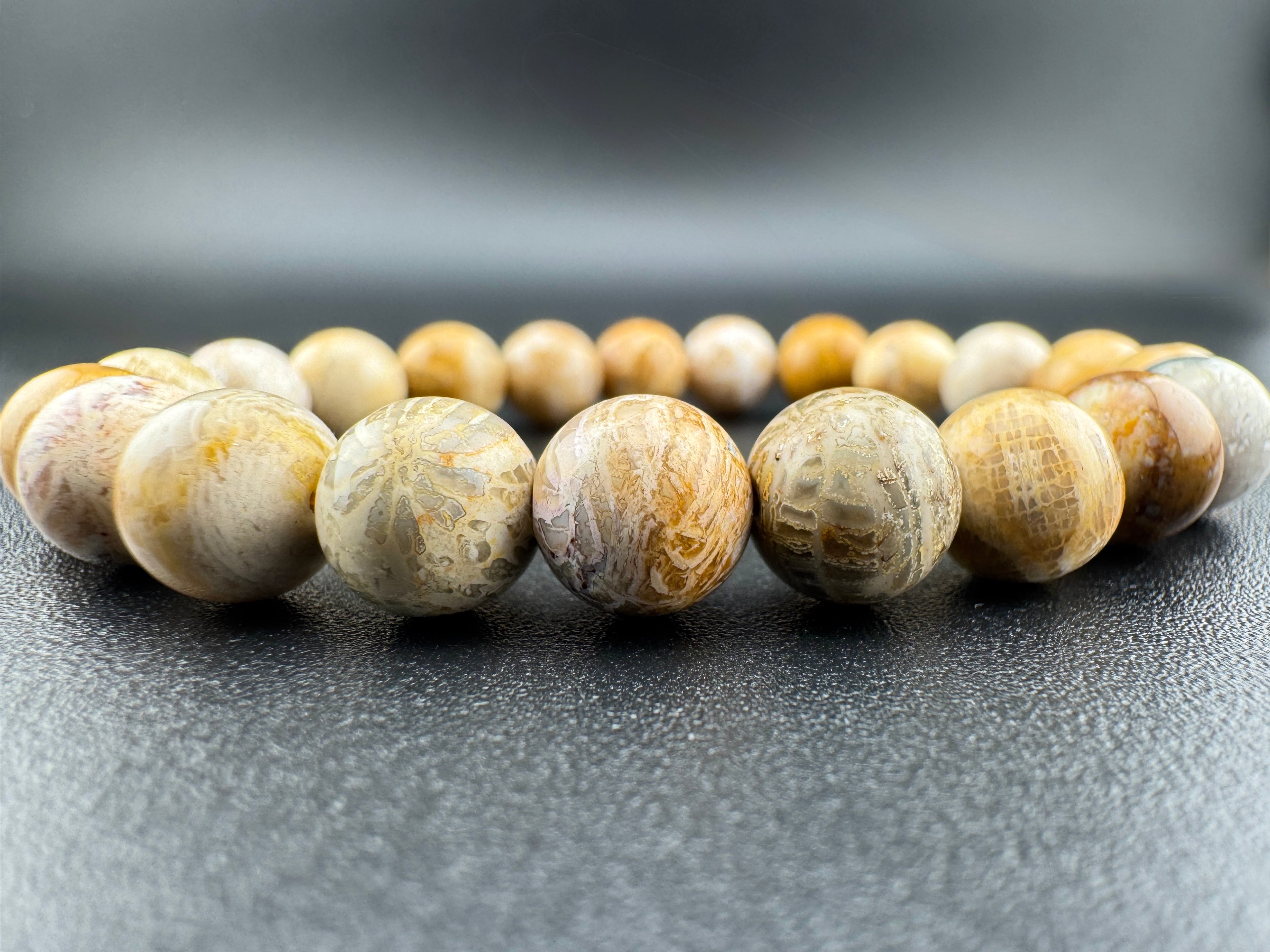 Fossilized Coral Beads Available in 8mm Sizes