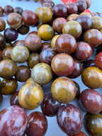 12mm Rainbow Petrified Wood Beads