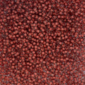 Czech Seed Beads apx. 22g Vial 10/0 C/L Beige/Orange Terra Color