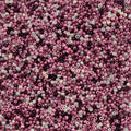 Czech Seed Beads apx. 22g Vial 10/0 Vintage Rose Mix