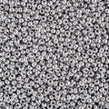 Czech Seed Beads 10/0 Metallic Silver 250g Bag