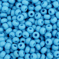 Czech Seed Bead 11/0 Opaque Turquoise Blue Strung Hank