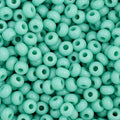 Czech Seed Bead 11/0 Opaque Turquoise Strung Hank