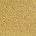 Czech Seed Bead 11/0 Vial Metallic Light Gold Solgel