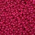 Czech Seed Bead 11/0 Vial Terra Intensive Rose