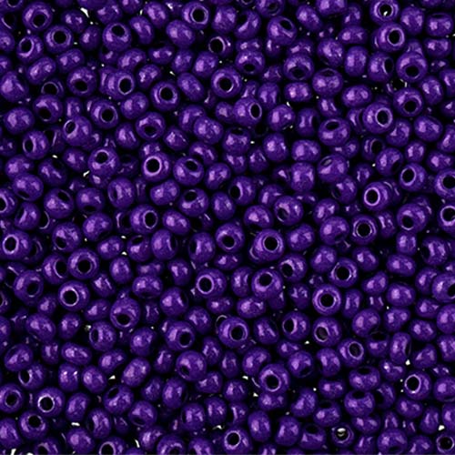 Czech Seed Bead 11/0 Vial Terra Intensive Purple