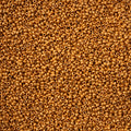 Czech Seed Bead 11/0 Vial Orange Terra Metallic Matte