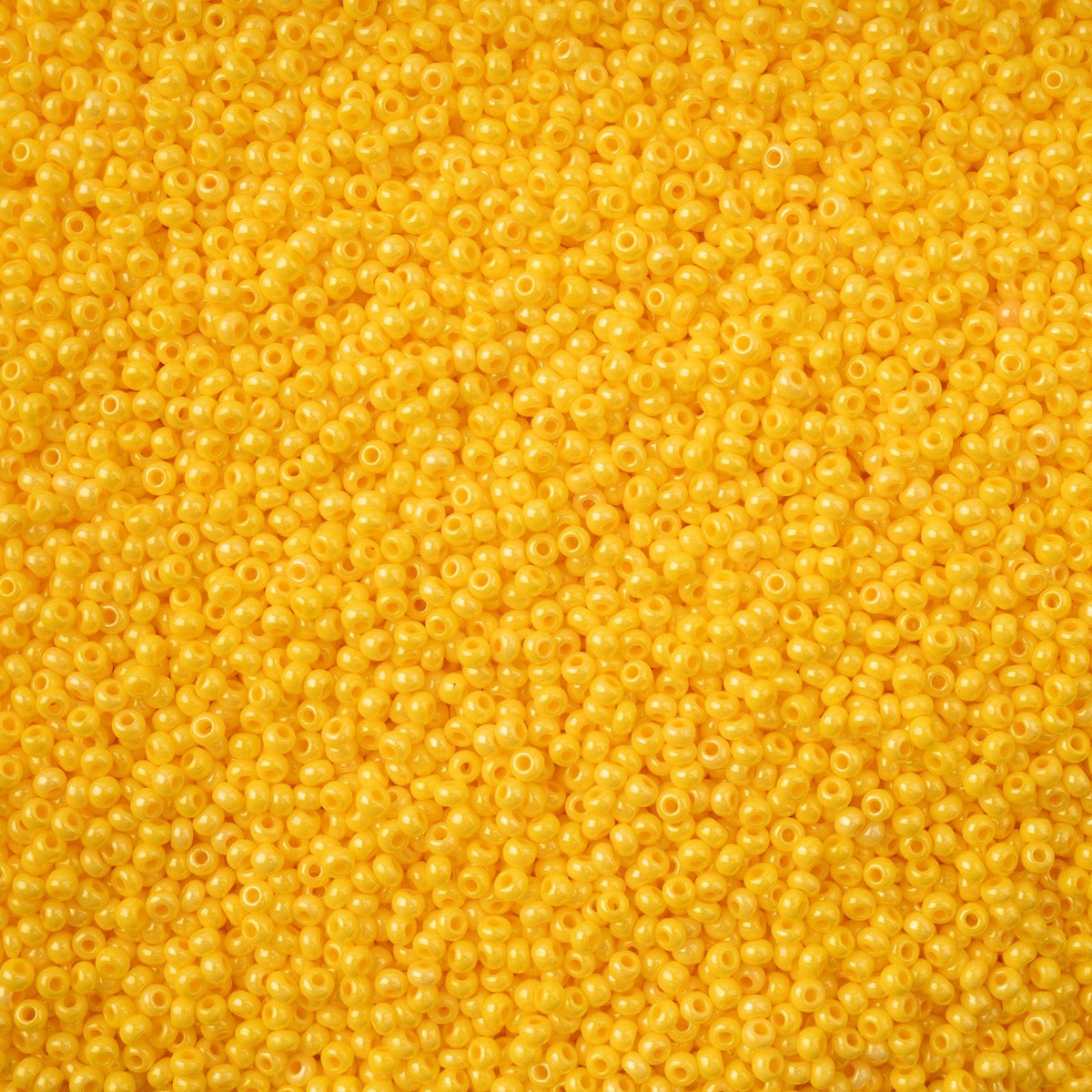 Czech Seed Bead 11/0 Vial Bright Yellow Chalk Terra Dyed