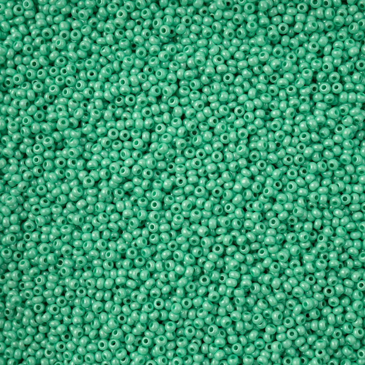 Czech Seed Bead 11/0 Vial Bright Turquoise Chalk sfinx Terra Dyed apx22g
