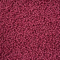 Czech Seed Bead 11/0 Vial Bright Plum Purple Chalk sfinx Terra Dyed apx23g