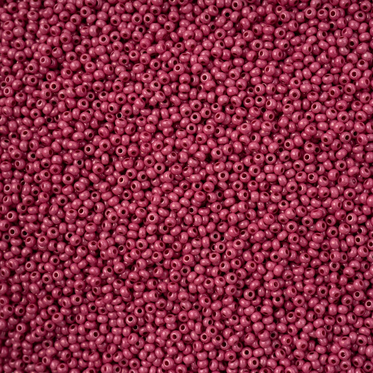 Czech Seed Bead 11/0 Vial Bright Plum Purple Chalk sfinx Terra Dyed apx23g