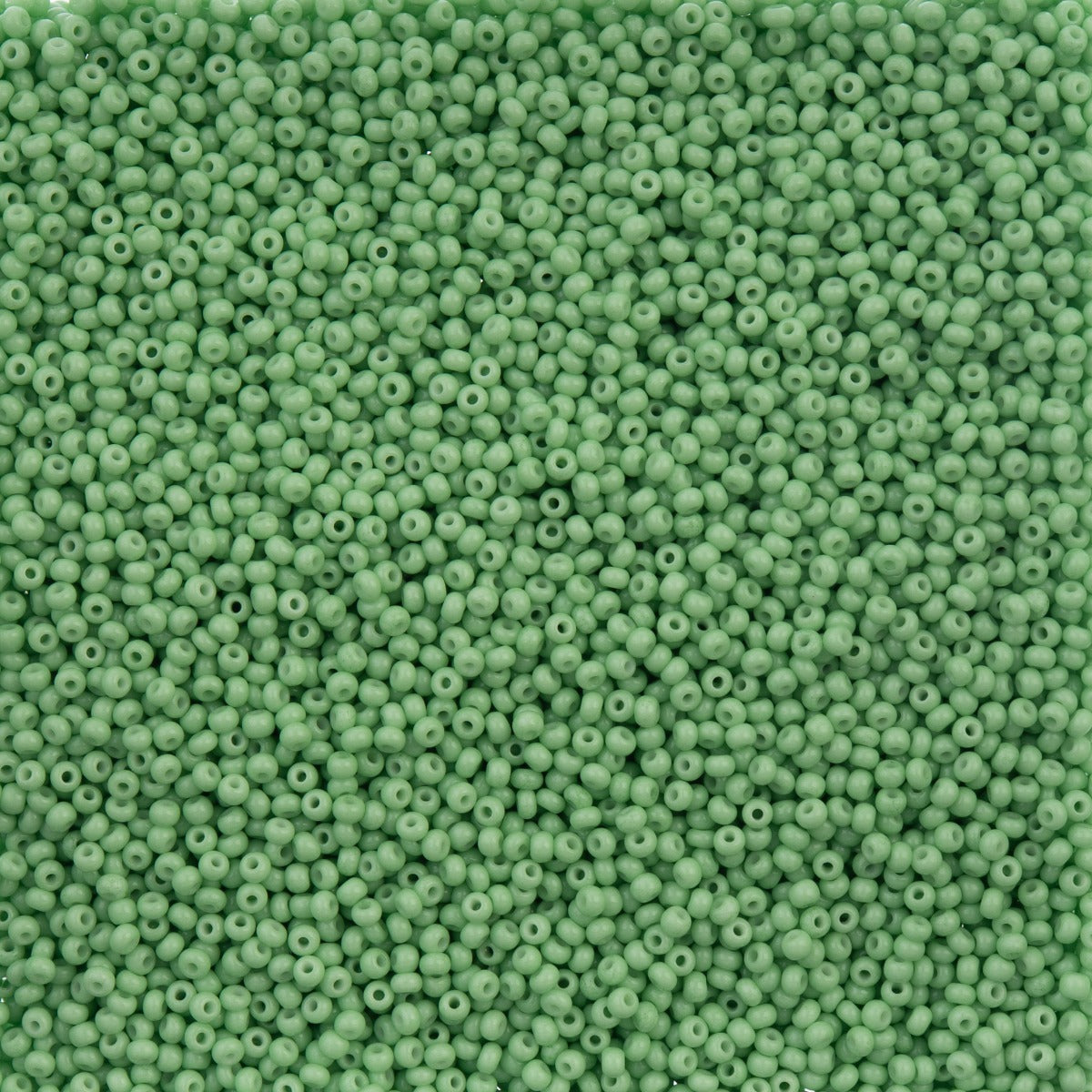 Czech Seed Bead 11/0 Vial Dark Green Chalk Dyed Solgel