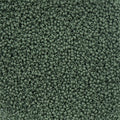 Czech Seed Bead 11/0 Vial Eucalyptus Chalk Dyed Solgel