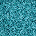 Czech Seed Bead 11/0 Vial Turquoise Chalk Dyed Solgel