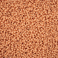 Czech Seed Bead 11/0 Vial Light Brown Chalk Dyed Solgel