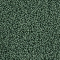 Czech Seed Bead 11/0 Vial Alabaster Eucalyptus Solgel