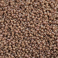Miyuki Seed Bead 11/0 apx 22g Frosted Glazed/ Rainbow Light Rose Matte AB