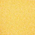 Miyuki Seed Bead apx. 22g Vial 15/0 Crystal Yellow