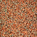 Cylin Bead 11/0 25g Bag Verdara Tropical