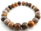 Rainbow Petrified Wood Beads Available in 6mm, 8mm Sizes