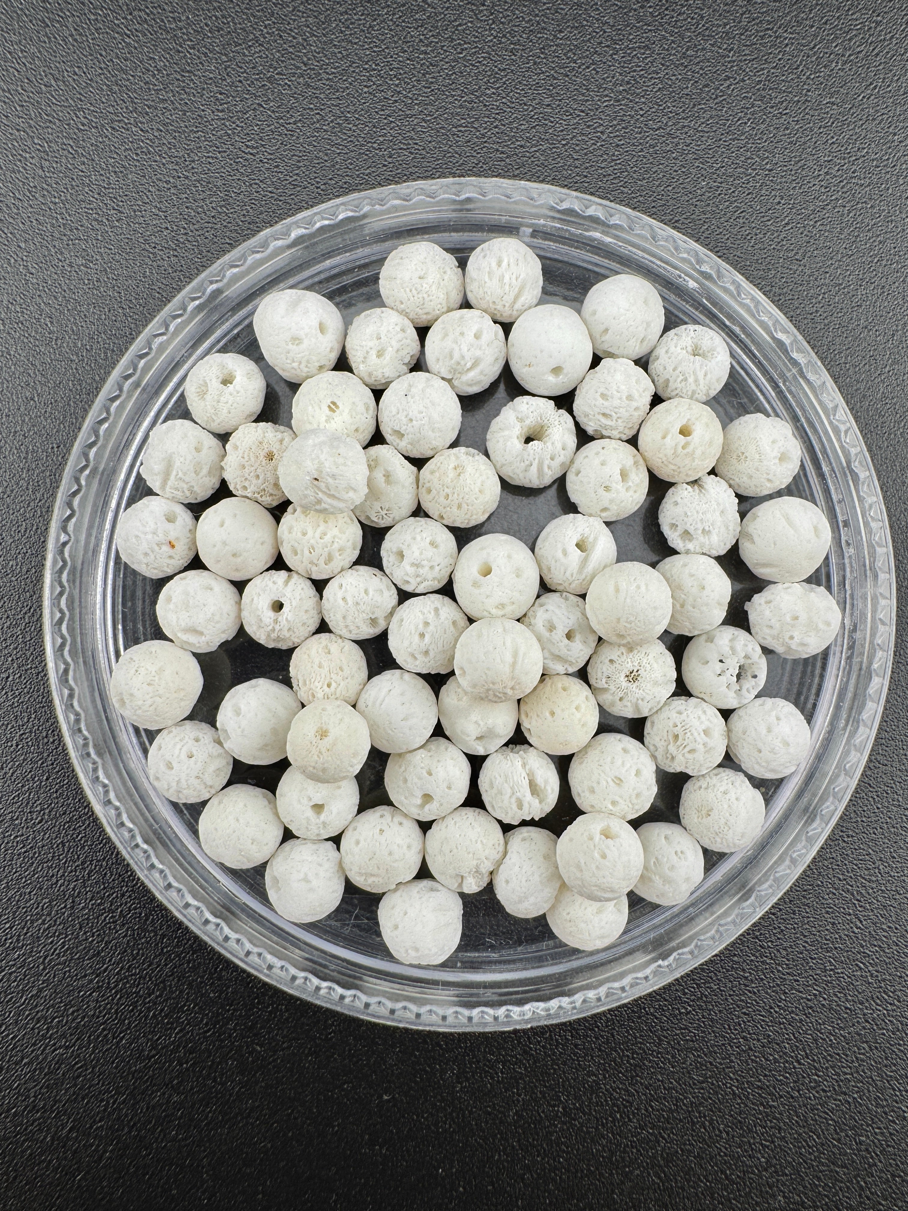 Sponge Coral Beads Available in 6mm, 8mm, 10mm Sizes