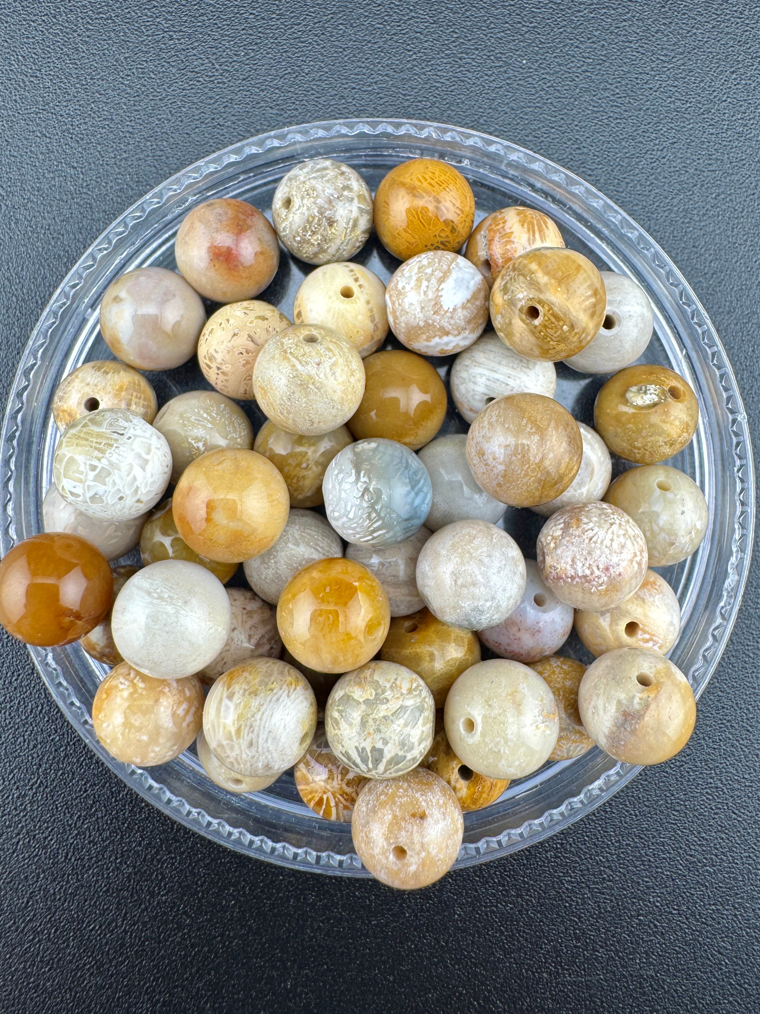 Fossilized Coral Beads Available in 8mm Sizes