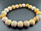 Fossilized Coral Beads Available in 8mm Sizes