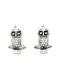 20mm Perched Owl Charm Rhodium