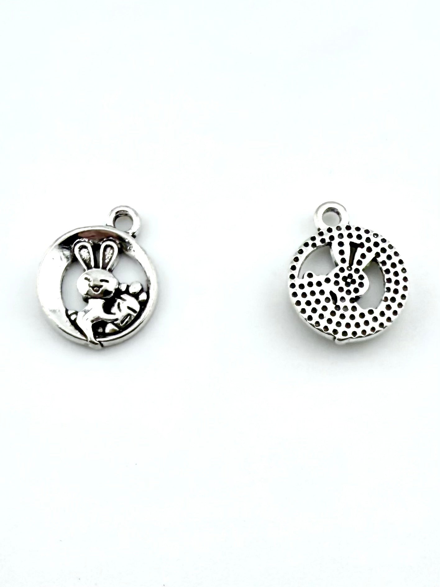 15mm Rabbit Hug Carrot Coin Charm Rhodium