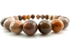 Rainbow Petrified Wood Beads Available in 6mm, 8mm Sizes