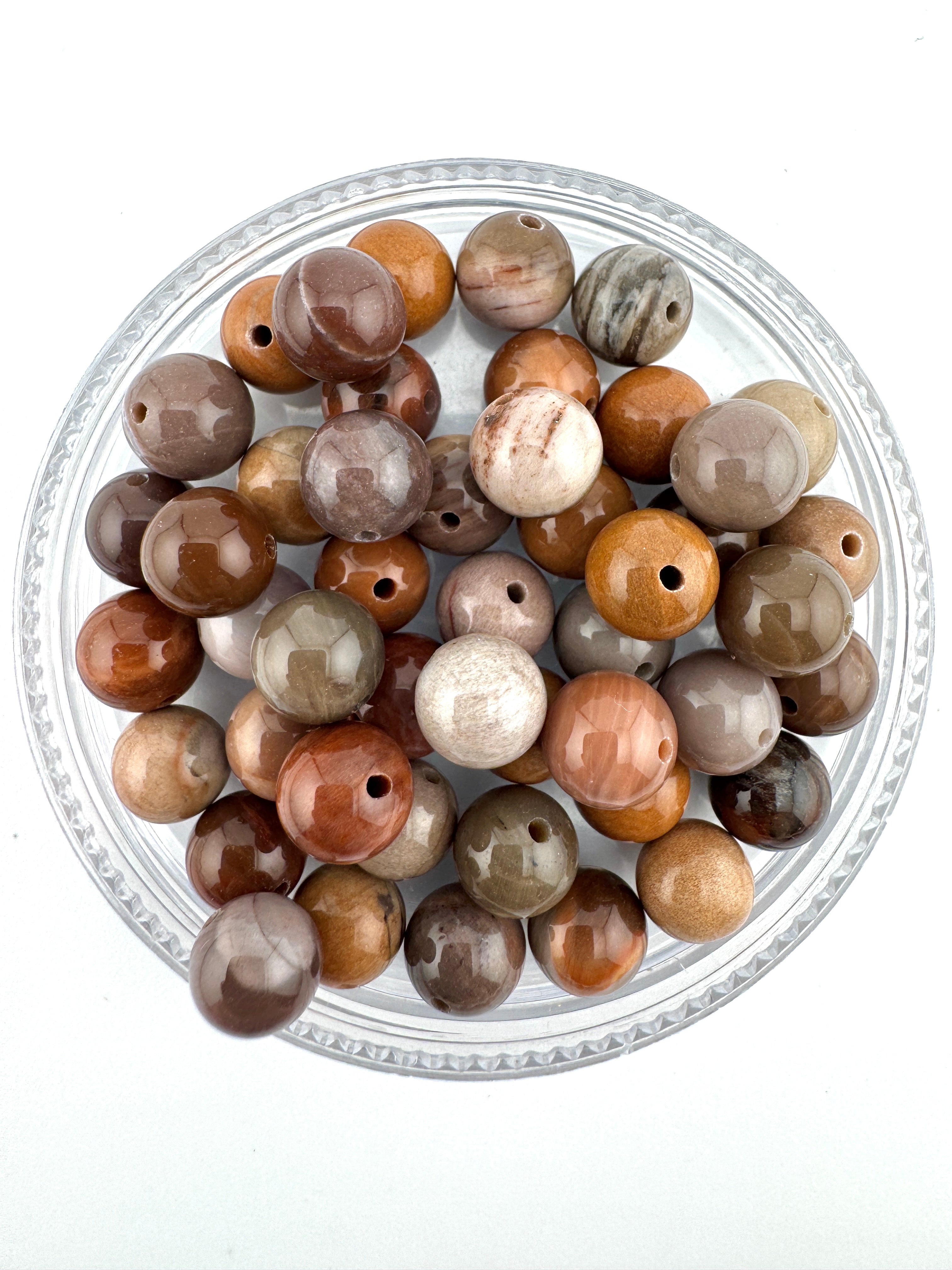 Rainbow Petrified Wood Beads Available in 6mm, 8mm Sizes
