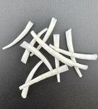 Assorted Dentillium Shells – Natural Tube Shells for Jewelry, Regalia, and Beadwork