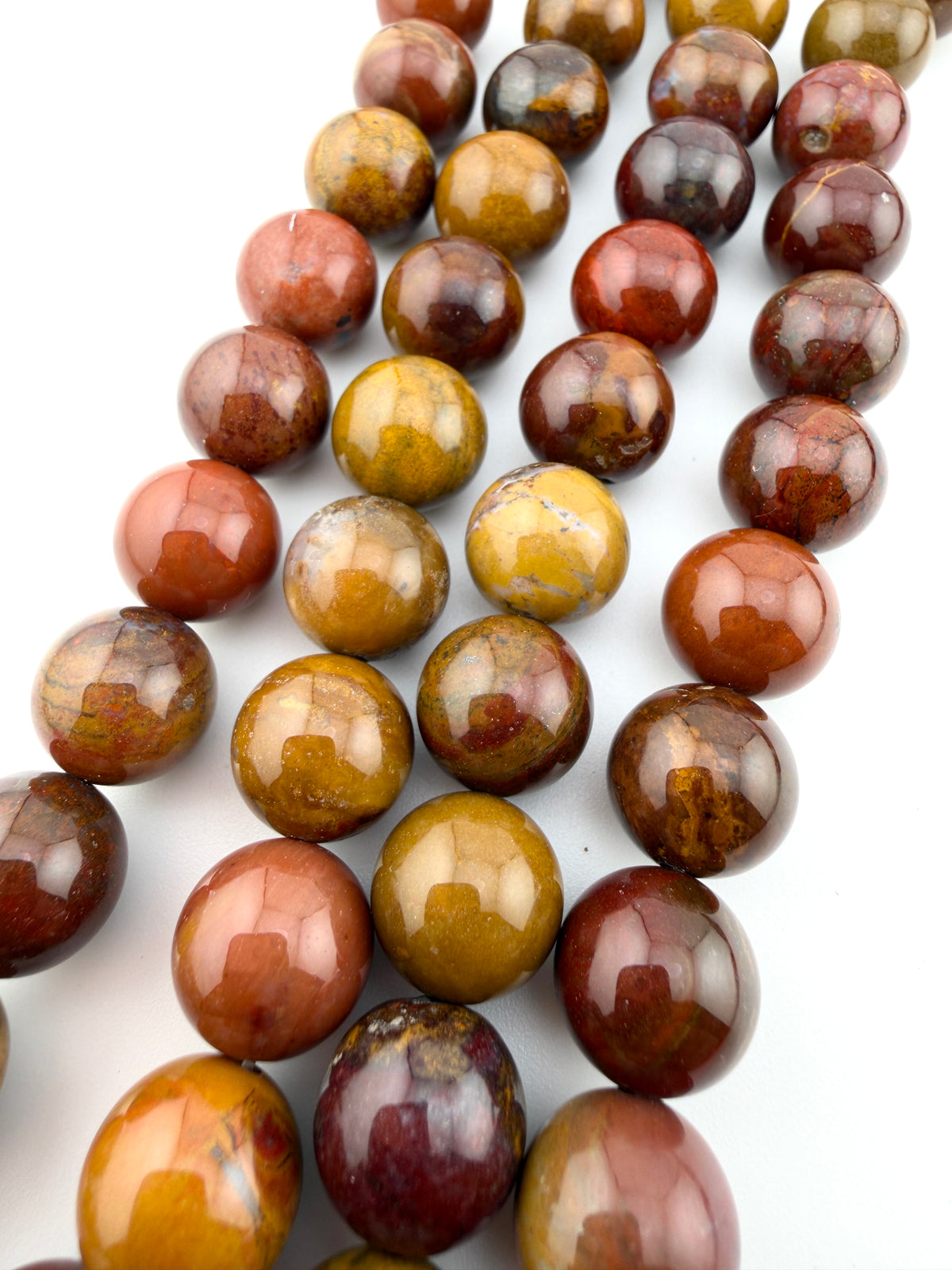12mm Rainbow Petrified Wood Beads
