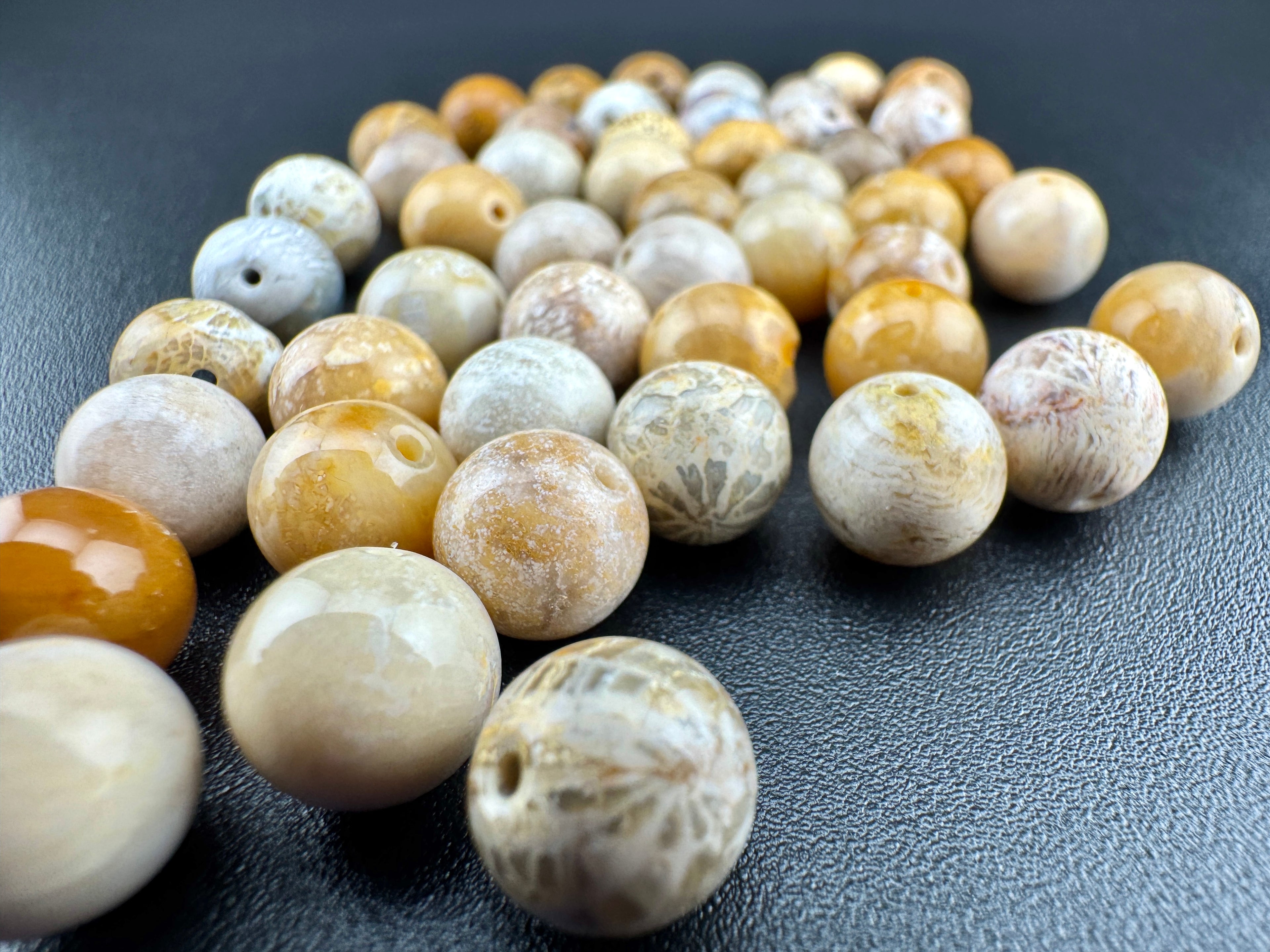 Fossilized Coral Beads Available in 8mm Sizes
