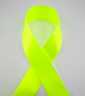 Rib-Row Ribbon 1.5 inch Neon Green