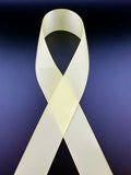 Rib-Row Ribbon 1.5 inch Cream