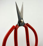 Red Handle Scissors