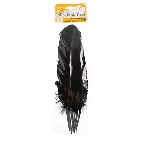 Turkey Quill 12in Black