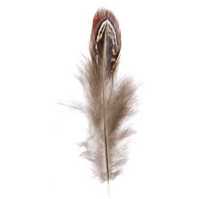 Pheasant Feather Natural