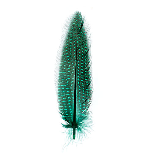 Guinea Fowl Quill 6-9in Green