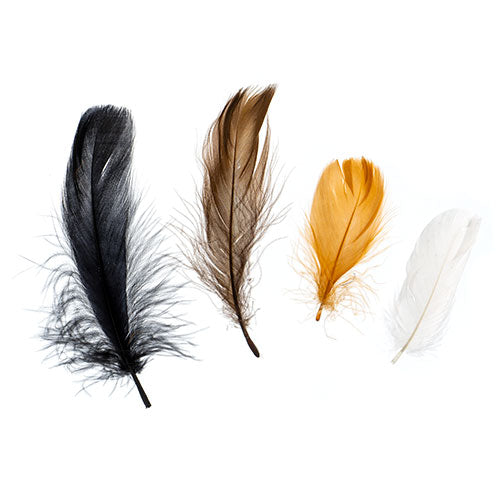 Turkey Plumes 4-6in Natural Mix