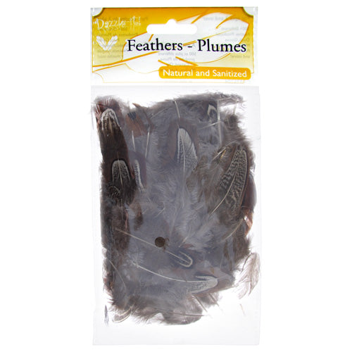 Pheasant Feather Natural