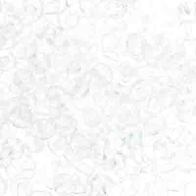 Czech Seed Bead 6/0 22g Vial TR CRYSTAL