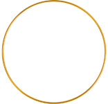 Metal Rings 2.5in (63mm) Brass 1pcs