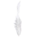 Saddle Hackles White