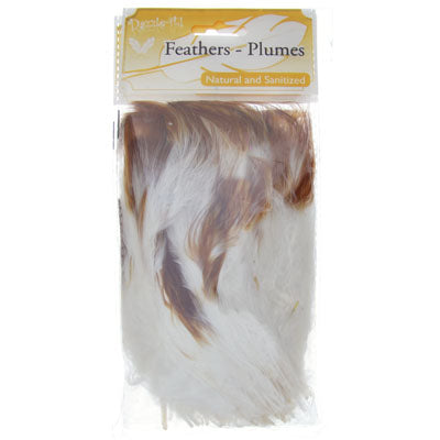 Marabou Feathers 4-6in White/Brown