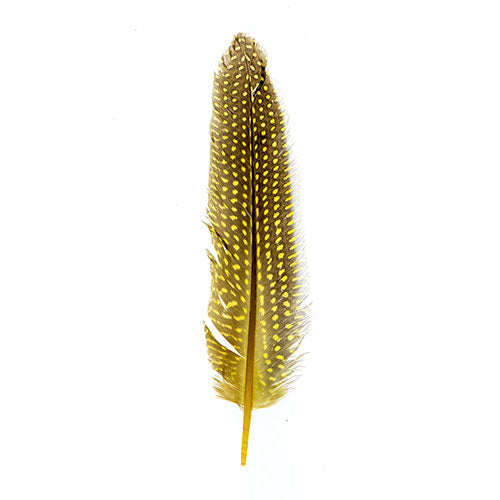 Guinea Fowl Quill 6-9in Yellow